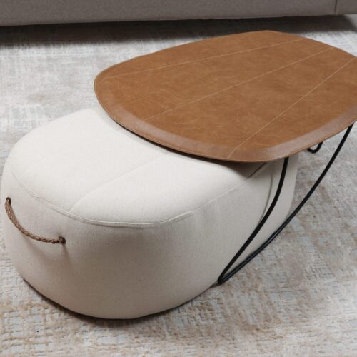 Mesa de Centro e Puff Tartaruga